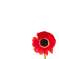 Faithfull Project Management Ltd